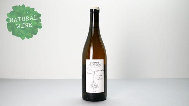 ワインファウンテン Amazon.com: 46 Bottle Wine Cooler Refrigerator, 24 Inch Dual