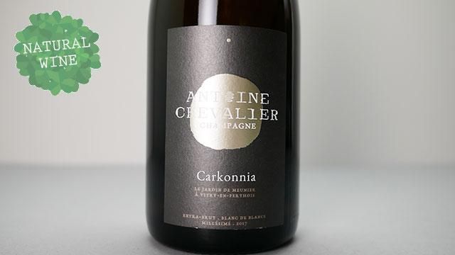 9600] Carkonnia 2019 ANTOINE CHEVALIER / カルコニア 2019