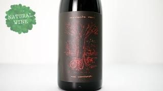 MOMENTO MORI WINES - ナチュラルワイン(自然派ワイン MOMENTO MORI WINES - ナチュラルワイン(自然派ワイン
