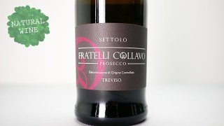 [2240] Prosecco Extra Dry Settolo 2021  Fratelli Collavo / ץå ȥ顦ɥ饤 åȡ 2021 եƥåꡦ顼