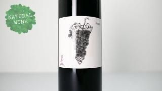 1680] Spumante Prosecco Brut Senza Solfiti Aggiunti 2021 Pizzolato