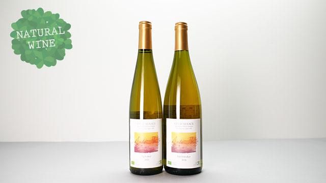 2240] Edelzwicker 2020 Domaine Andre Stentz / エデルツヴィッ