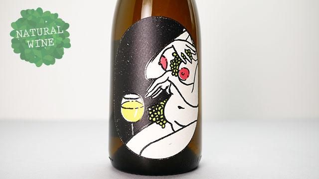 最新な Aparte Vinhos 2021 CLASSIQUO 2840] / 2021 クラシコ その他