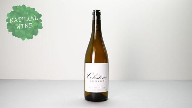 2480] Celestino domino 2018 Vitor Claro / セレスティーノ・ドミノ