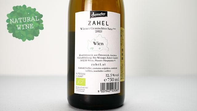 2240] Wiener Gemischter Satz DAC 2021 Zahel / ウィーナー ゲミシュ