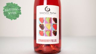 [2560] Strawberry Fields 2021 La Ferme de Mont Benault / ストロベリー・フィールド 2021 ル・フェルム・ド・モン・ブノー