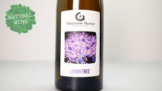 [2720] Lemon Tree 2021 La Ferme de Mont Benault / レモン・ツリー 2021 ル・フェルム・ド・モン・ブノー