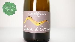 [2640] Conda d'Oro 2019 TerraQuilia / 󥫡ɡ 2019 ƥå饯ꥢ