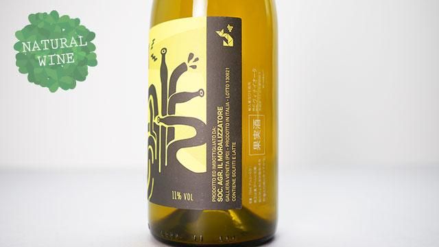 Matt Morris ワイン 2240] Bibby 2020 Il Moralizzatore / ビッビィ 2020 イル