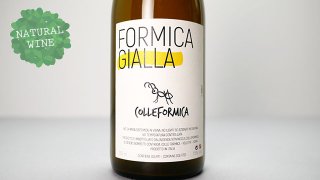 [2640] Formica Gialla 2020 Colleformica / フォルミカ・ジャッラ 2020 コッレフォルミカ