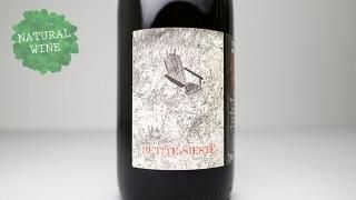 [3600] Petite Siste 2021 Terres des Nus / ץƥåȡ 2021 ơ롦ǡ˥