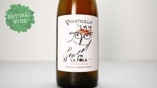 3360] Regional Pinot Gris 2022 Ravensworth / リージョナル