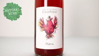 [4160] PHENIX 2021 FREDERIC GESCHICKT / ե˥å 2021 եǥå