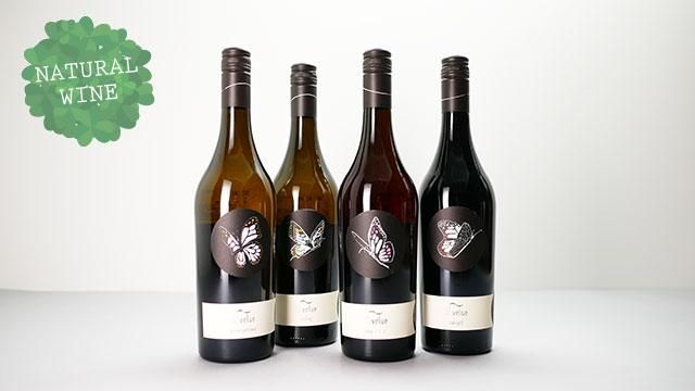 H*J様 【特価】【自然派ワイン】シルヴァンパタイユ2本セット2017&2018 2240] VELUE Zweigelt 2021 Johannes Zillinger / ヴェルエ