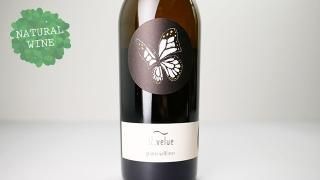 2240] VELUE Zweigelt 2021 Johannes Zillinger / ヴェルエ