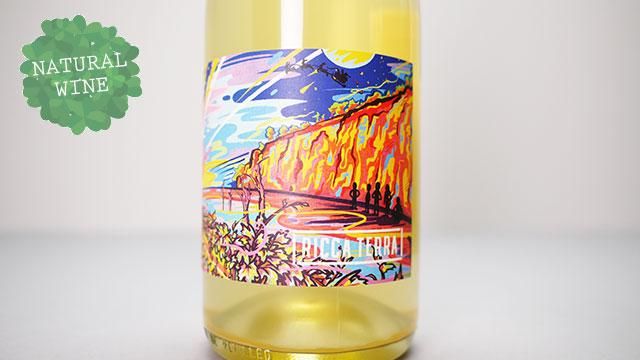 2240] Skin Contact Pet Nat 2022 Ricca Terra / スキン・コンタクト