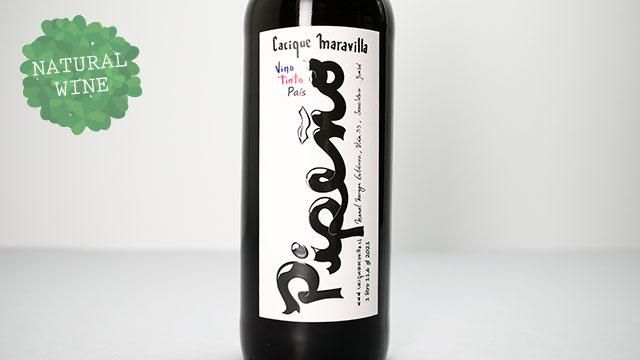 2640] Pipeno 2021 Cacique Maravilla / ピペーニョ 2021 カスィック