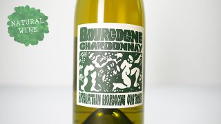 [3040] Bourgogne Chardonnay 2021 La Soeur Cadette / ֥르˥塦ɥ 2021 顦롦ǥå