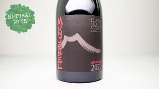 [4800] Munjebel Rosso 2020 Frank Cornelissen / 󥸥٥롦å 2020 ե󥯡ͥå