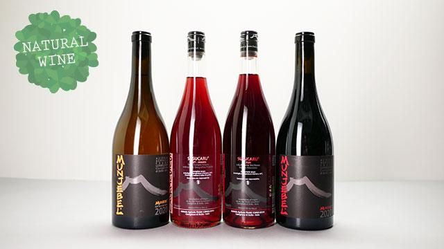 ナチュラルワイン6本セット　ムンジェベル　ダミアン ナチュラルワイン6本セット ムンジェベル ダミアン 自然派ワイン