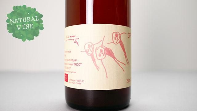 Rose Trois Bonhommes 2021 Vincent Tricot / ロゼ・トワ・ボンノム