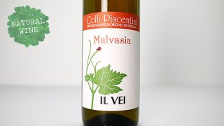 [1800] Malvasia 2021 Il Vei / マルヴァジーア 2021 イル・ヴェイ