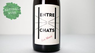 [2480] Entre chat 2021 Domine Les Maou / ȥ졦 2021 ɥ᡼̡졦ޥ