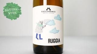 [2880] RUGGIA 2021 CACCIANEMICI / 롼 2021 åͥߥ