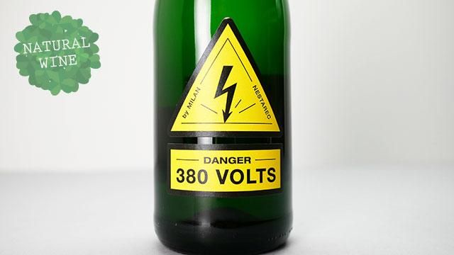 Nestarec - Danger 380 Volts 2023 - Terroirizer Wine