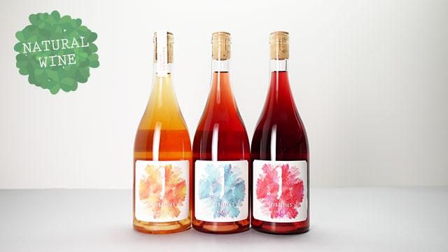 メゾン•グランディアン　2021年　ロゼ、白２本セット ローラ アシュレイ レディススクラブ半袖[住商モンブラン製品] LW611