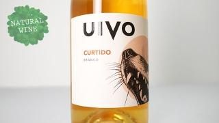 [2880] UIVO CURTIDO 2021 FOLIAS DE BACO / ƥ 2021 եꥢǡХ