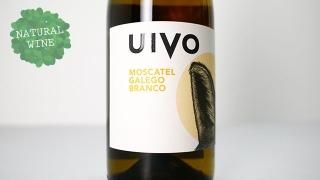 3600] Rosato DAMIGIANA 2020 RABASCO / ロザート・ダミジャーナ 2020