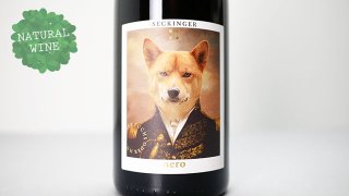 [2880] Pinot Noir 2021 Seckinger / ピノ・ノワール 2021 ゼッキンガー