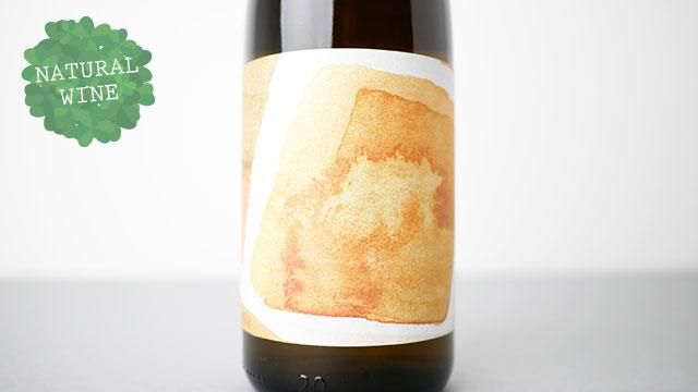 2640] Grundstein Gelber Muskateller 2021 Nibire / グルンステイン