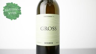 [2800] BERGWEIN 2020 GROSS / ٥륯 2020 