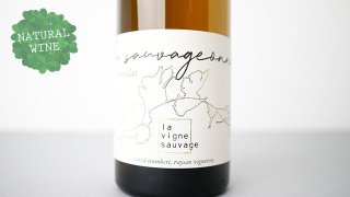 [5360] La Sauvageonne 2021 Domaine La Vigne Sauvage / 顦 2021 ɥ᡼̡顦˥塦