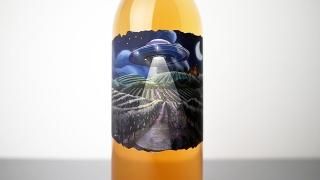[2350] GRAPE ABDUCTION COMPANY Orange 2022 GONC / グレープアブダクションカンパニー オレンジ 2022 グンツ