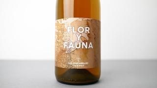 [4720] FLOR Y FAUNA 2021 NURIA RENOM / ե롦ե 2021 ̥ꥢΥ