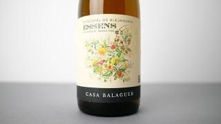 [3120] Essens Moscatel Orange 2022 Casa Balaguer / å󥹡⥹ơ롦 2022 Х饰