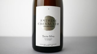 [10400] Tecta Silva 2018 Antoine Chevalier / テクタ・シルヴァ 2018 アントワーヌ・シュヴァリエ