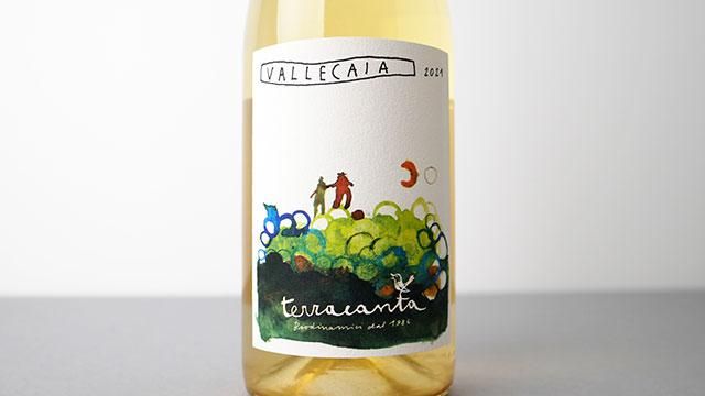 2040] Vallecaia 2021 terracanta / ヴァッレカイア 2021 テッラカンタ