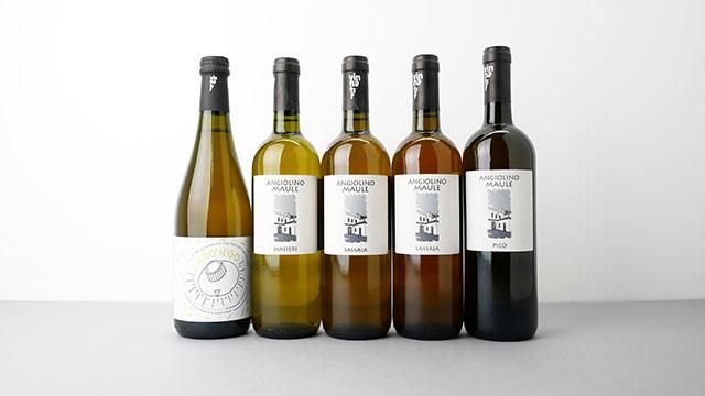 ラ ビアンカーラ サッサイア 2016年750ml ×６本 10021886-n.jpg