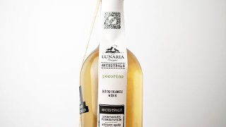 [2000] PECORINO STILL NATURE 2022 LUNARIA / ڥ꡼Ρƥ롦ʥ 2022 ʥꥢ