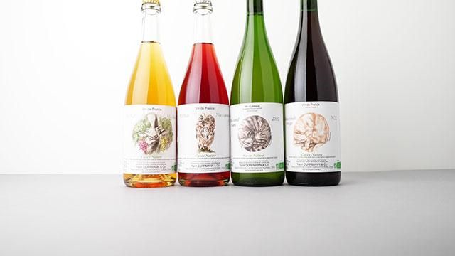 ワイン　Domaine Edel & TOMOE Pinot Noir 2本 ワイン Domaine Edel & TOMOE Pinot Noir 2本 ワイン Domaine