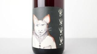[4000] Quand le Chat n'est pas la 2022 RIETSCH / 󡦥롦㡦͡ѡ 2022 ꥨå