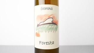 [3040] Foresta 2022 Antonio Gismondi / ե쥹 2022 ȥ˥ǥ