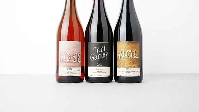 4160] TRAIT GAMAY 2021 REMI SEDES / トレ・ガメイ 2021 レミ