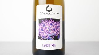 [3040] Lemon Tree 2022 La Ferme de Mont Benault / 󡦥ĥ꡼ 2022 롦եࡦɡ󡦥֥Ρ