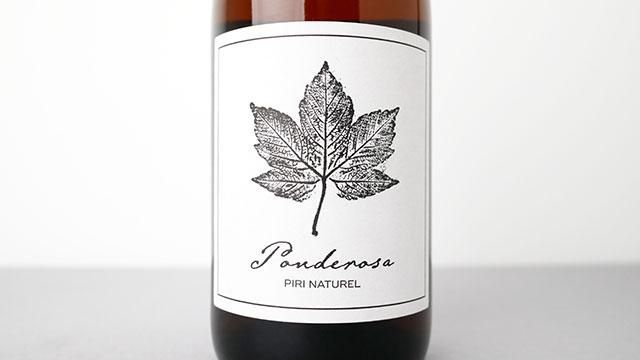 〜23日特別価格　新品　アルゼンチンのバリローチェのウナエル・ウアピ湖 4400] Piri Naturel Ponderosa 2021 Piri Wein / ピリ ナチュレル
