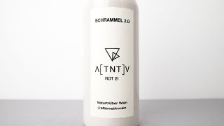 [4640] Alternativ Rot 2021 Schrammel 2.0 / 륿ʥƥ֡å 2021  ġɥåȡ